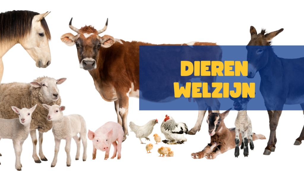 Dierenwelzijn