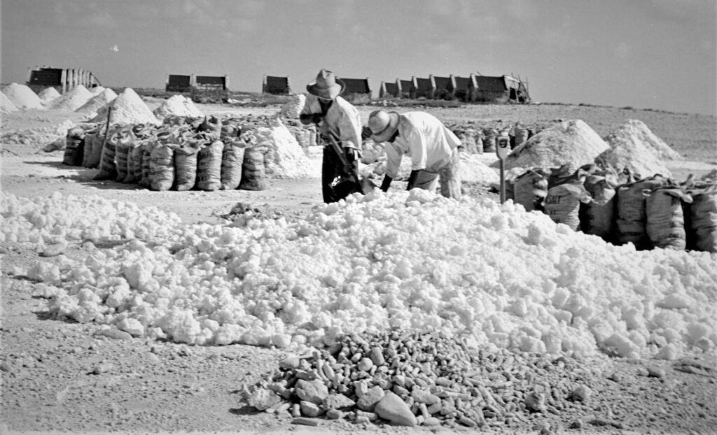 Bonaire, een koloniale zoutgeschiedenis