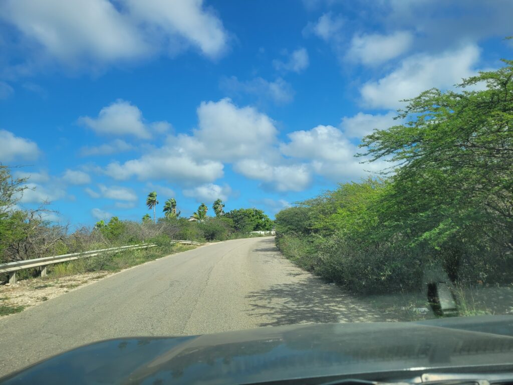 Vegetatieplan Bonaire